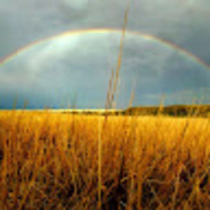 Meet your Posher, Judith